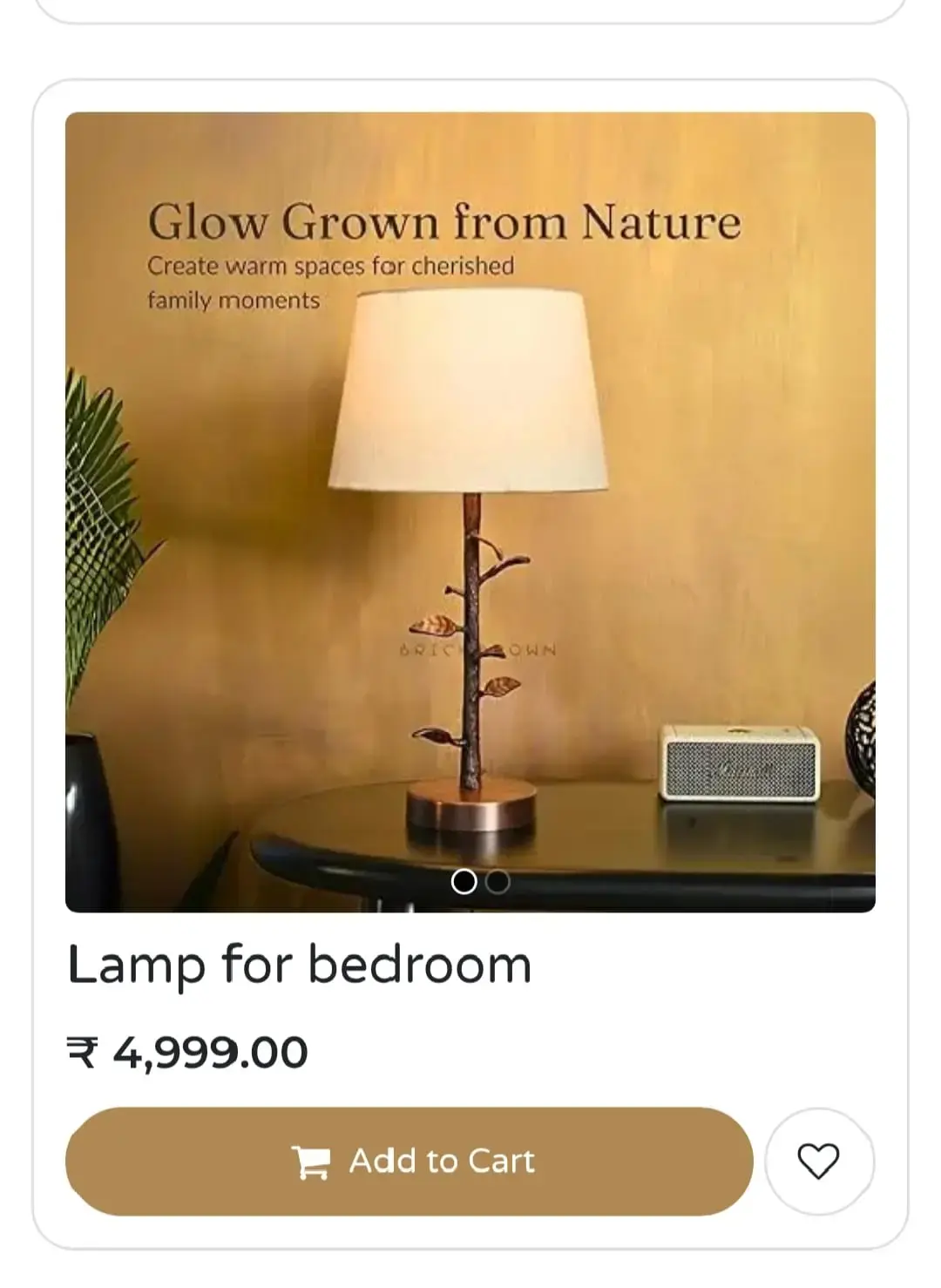 WhatsApp Image 2025-11-20 at 11.49.49 AM.webp