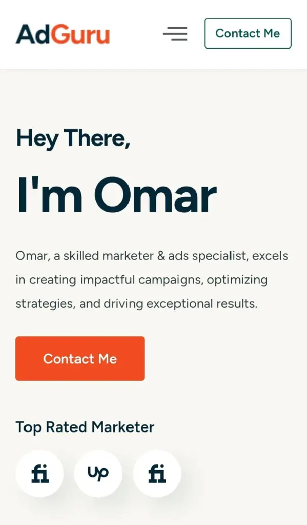 Portfolio digital marketer and freelancer portfoli