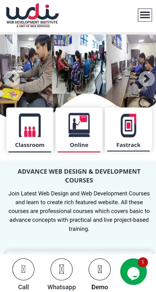 Web development institute